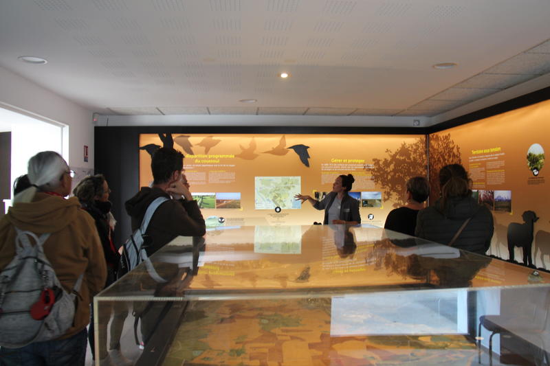 Visite guidée de l’Ecomusée de la Crau