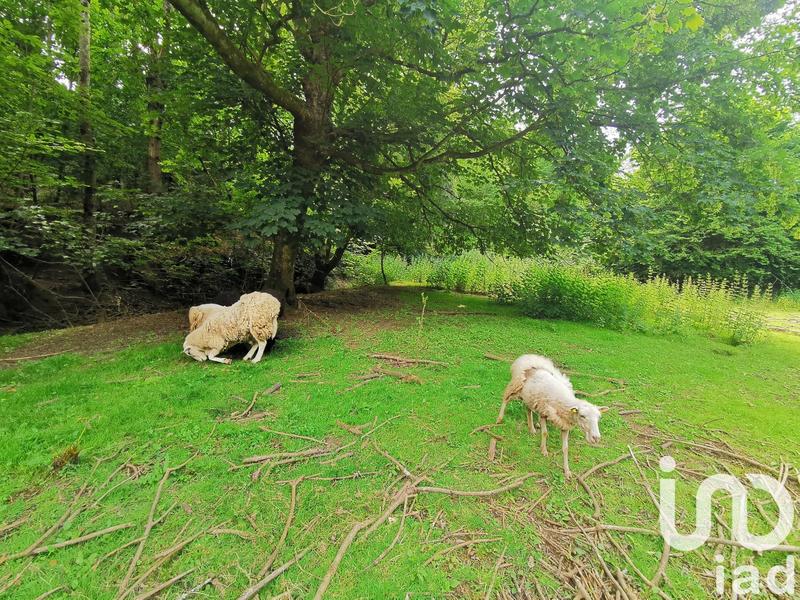 Maison - 151 m² - 5 pièces