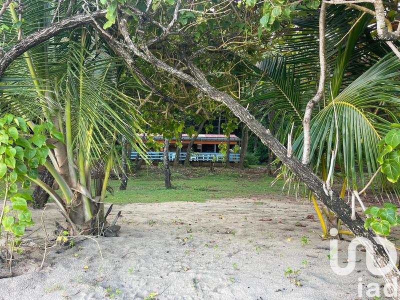 Appartement - 31 m² - 1 pièce