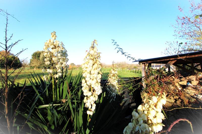 Maison - 143 m² - 6 pièces