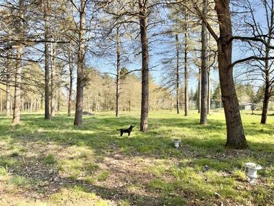 Terrain constructible - 6 260 m²