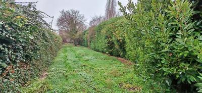 Maison - 116 m² - 7 pièces