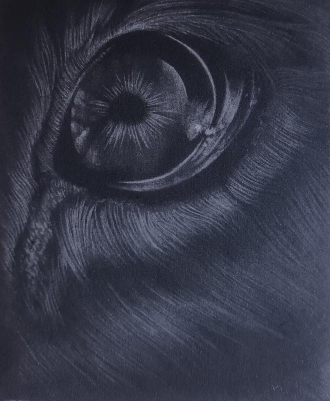 Exposition de gravures