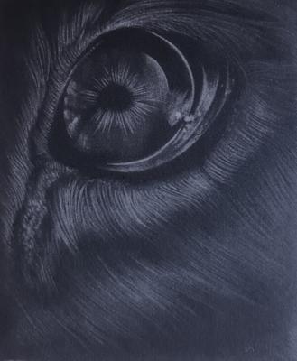 Exposition de gravures