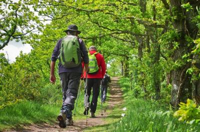Randonnée accompagné