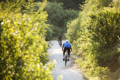La Forêt du Bourgailh