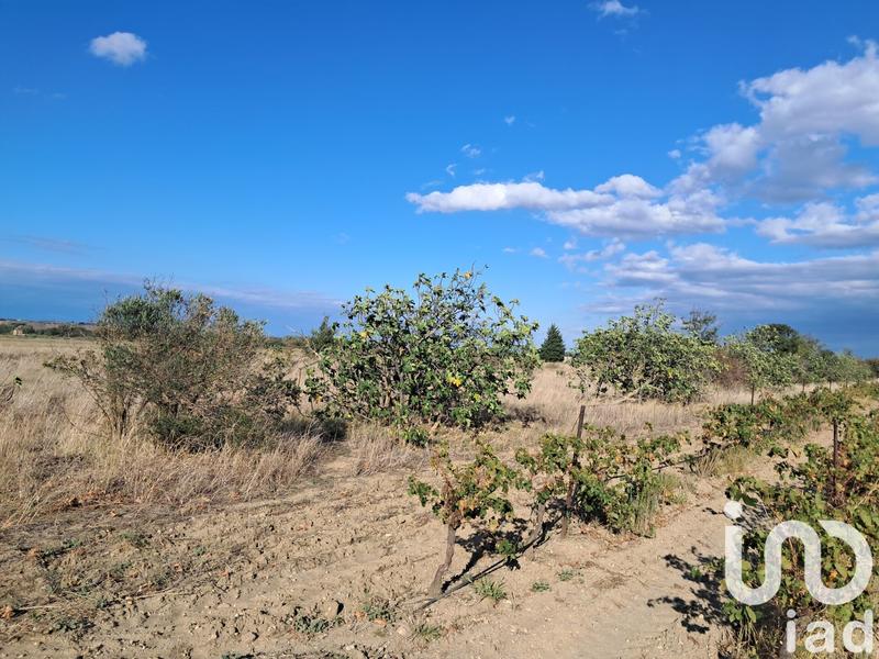 Terrain agricole - 29 000 m²