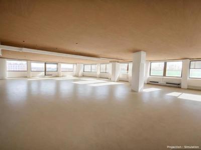 Bureau - 270 m²
