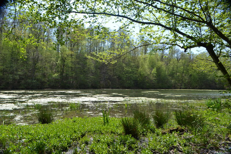 Randonnée pédestre guidée