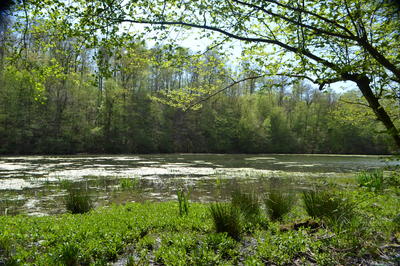 Randonnée pédestre guidée