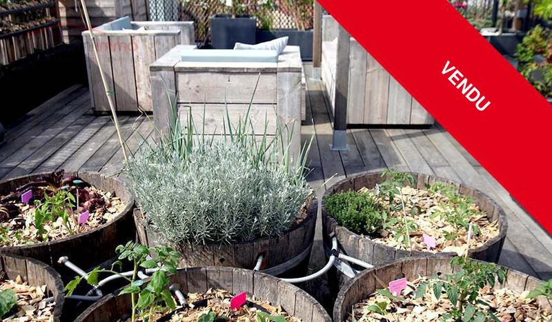 Appartement - 85 m² - 3 pièces