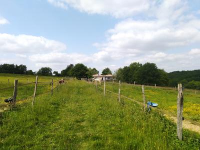 Maison de domaine équestre - 148 m² - 7 pièces