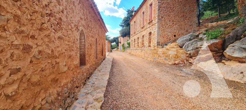 Château - 1 200 m² - 20 pièces