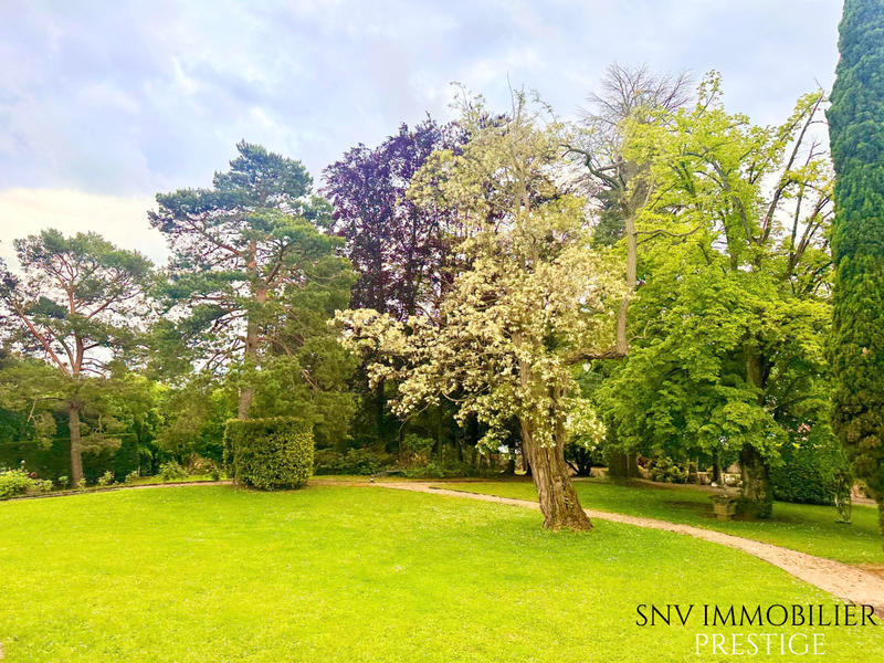 Château - 876 m² - 18 pièces