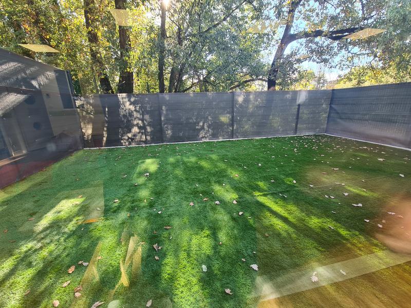 Baby Trees Grasse le Plan