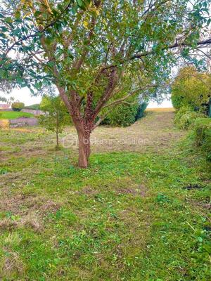 Terrain constructible - 567 m²