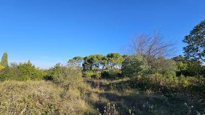 Terrain - 896 m²