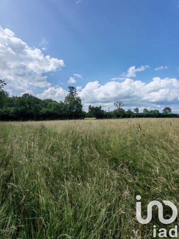 Terrain - 31 982 m²