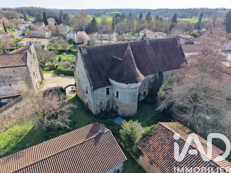 Château - 835 m² - 7 pièces