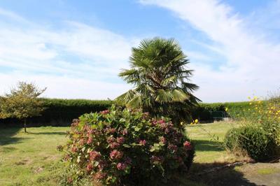 Maison - 230 m² - 6 pièces