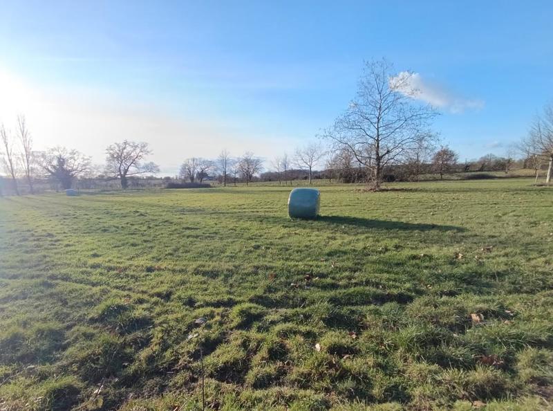 Propriété - 160 m² - 6 pièces