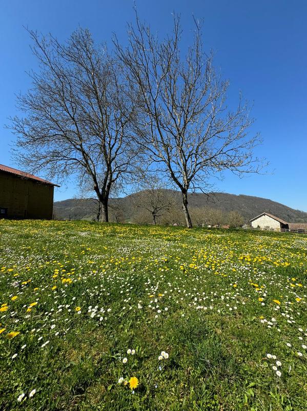 Terrain constructible - 800 m²