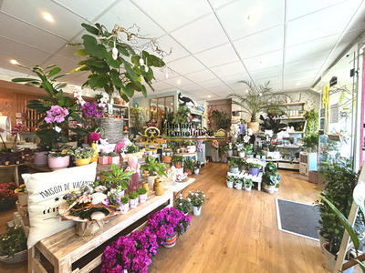 Magasins - 71 m² - 2 pièces