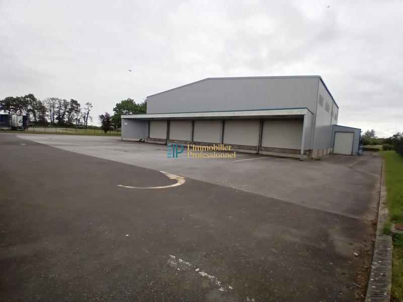 Local d'activités - 1 072 m²