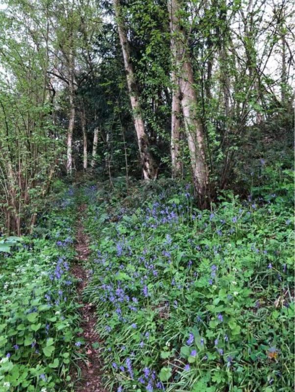 Longère - 146 m² - 7 pièces