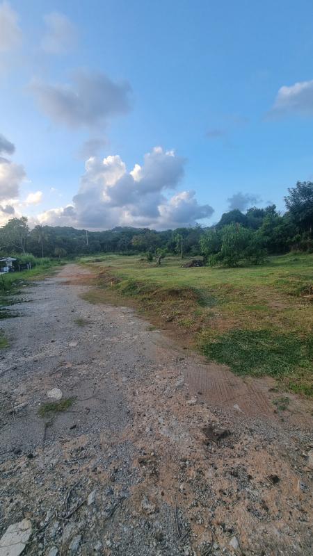 Terrain constructible - 656 m²