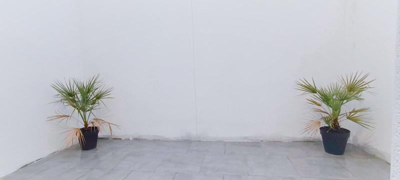 Maison ancienne - 55 m² - 4 pièces