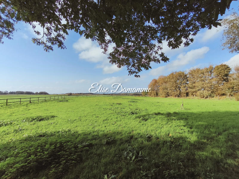 Maison - 190 m² - 5 pièces