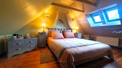 Propriété - 300 m² - 12 pièces