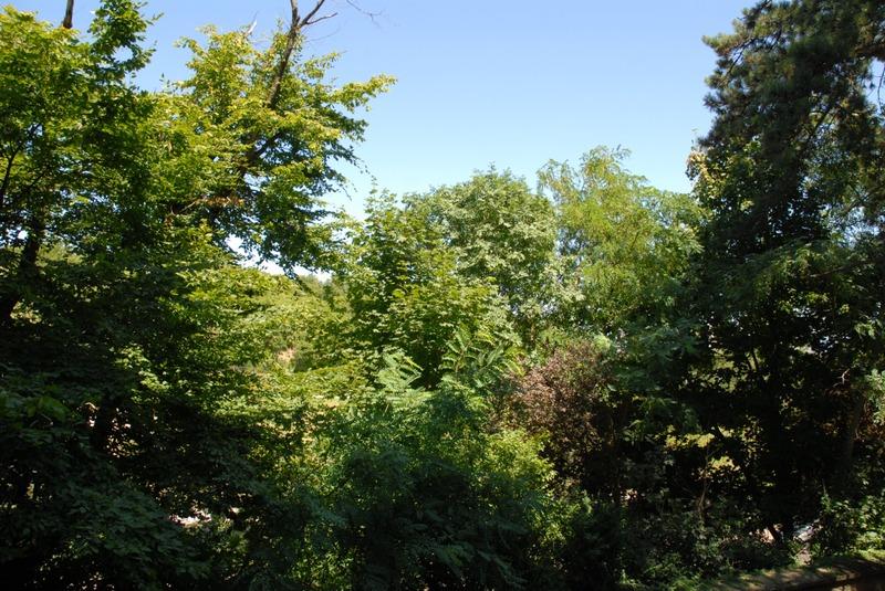 Appartement - 93 m² - 4 pièces