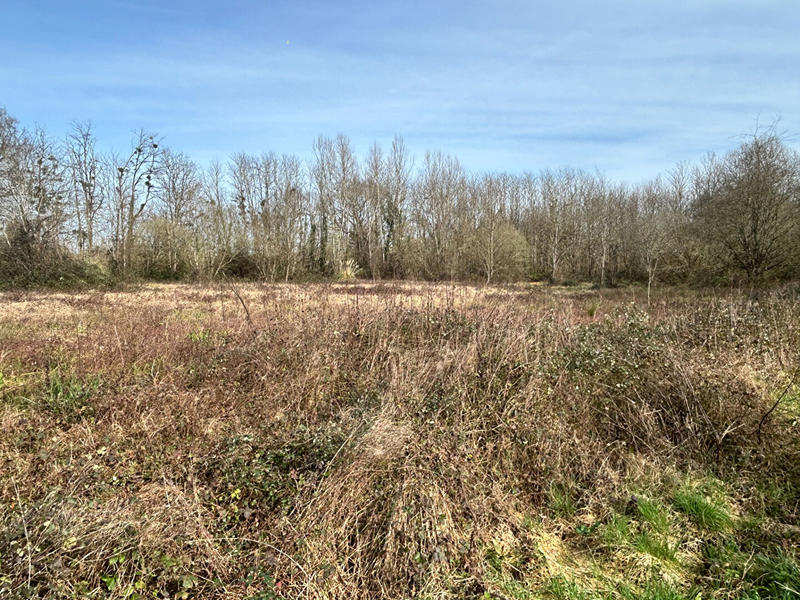 Terrain - 17 198 m²