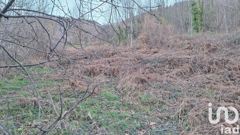 Terrain - 50 940 m²