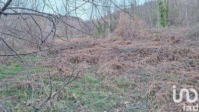 Terrain - 50 940 m²