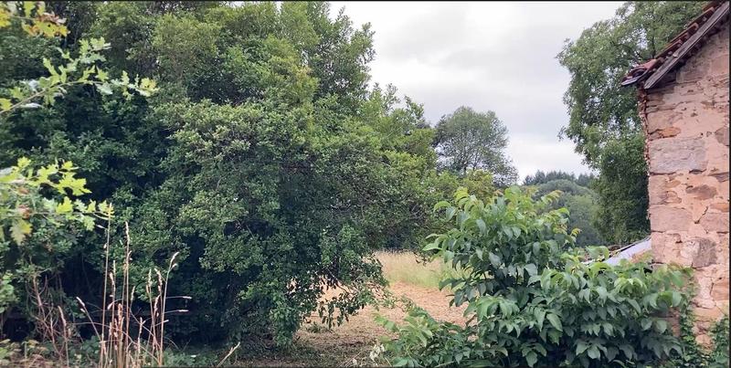 Maison ancienne - 30 m² - 3 pièces