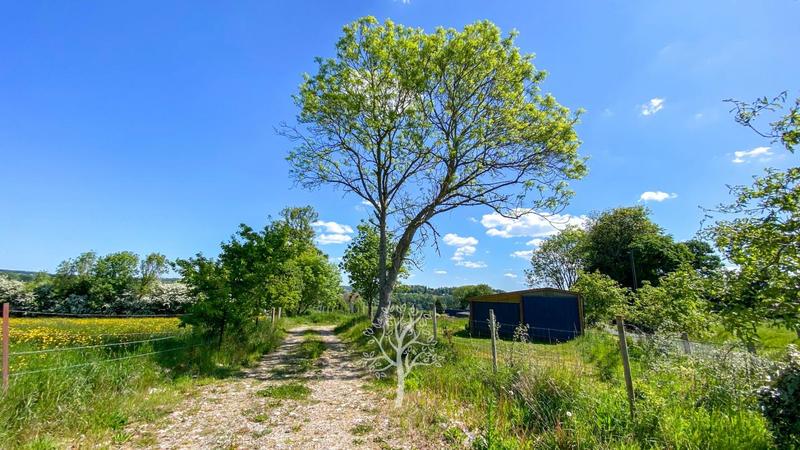 Terrain constructible - 3 923 m²