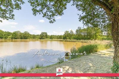 Étang - 25 600 m²