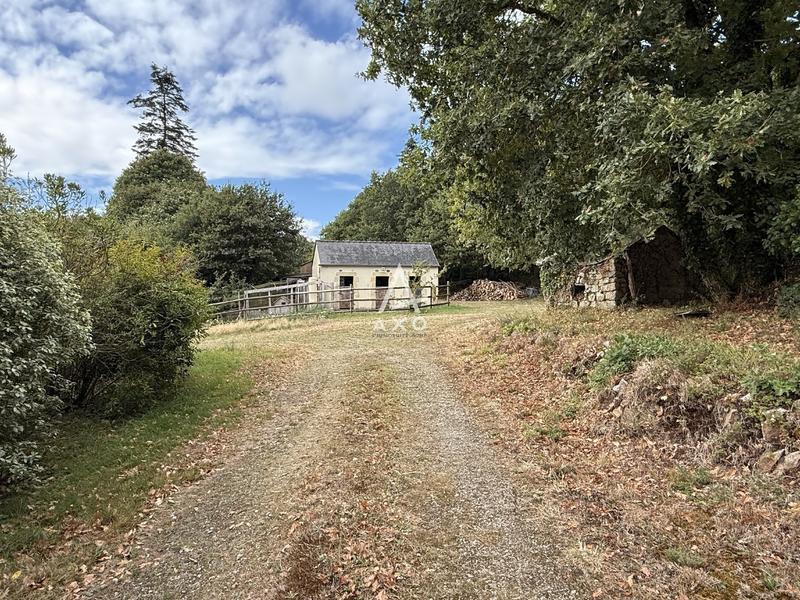 Maison - 210 m² - 9 pièces