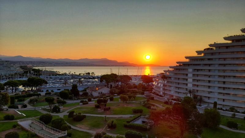 Studio - 25 m² - 1 pièce