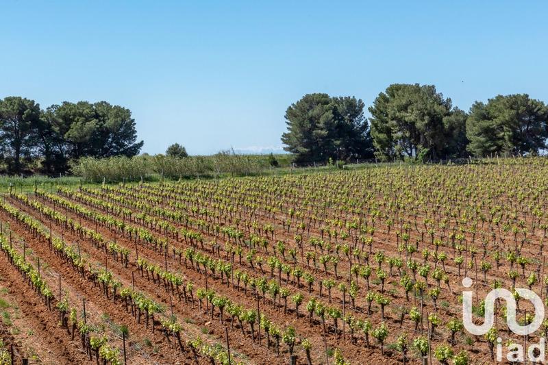 Maison - 288 m² - 7 pièces