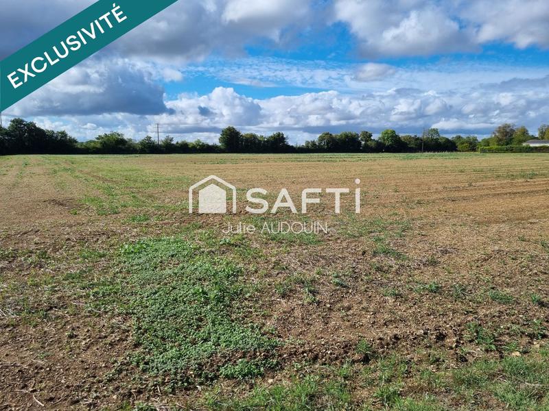 Terrain - 24 294 m²