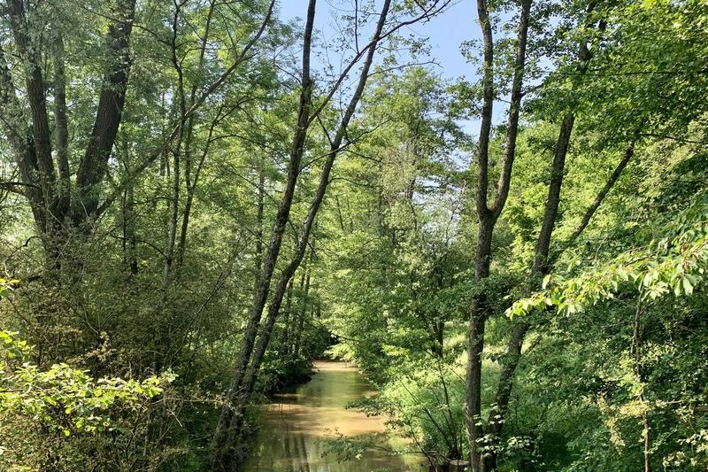 Balade ludique à Diemeringen