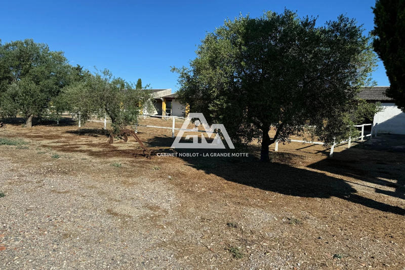 Terrain agricole - 11 000 m²