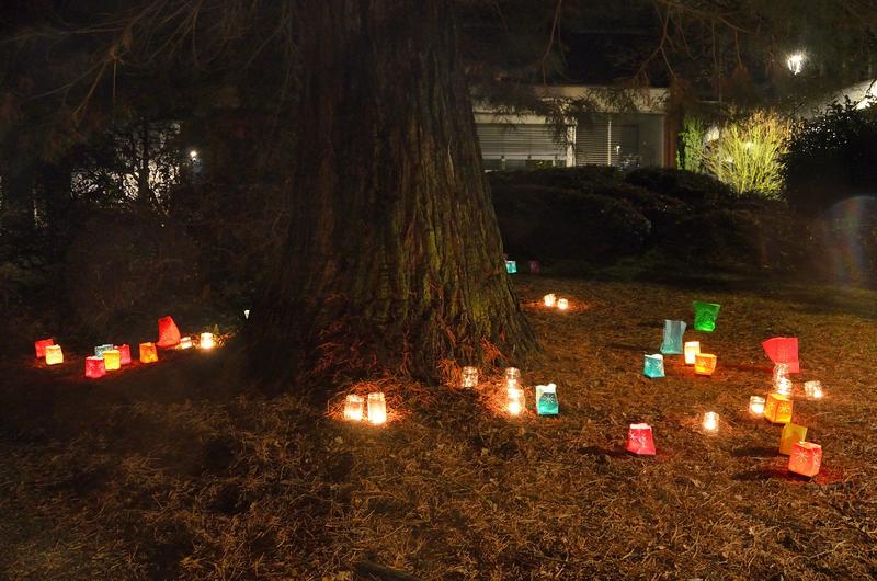 Sentier des lumières