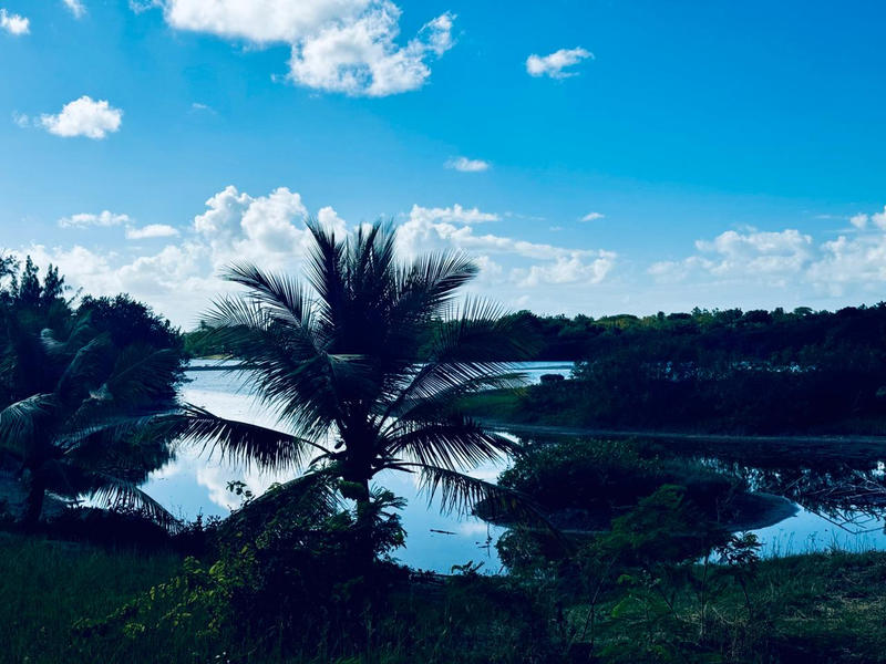 Terrain - 10 625 m²