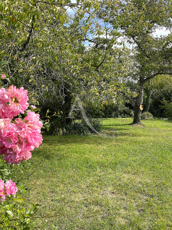 Maison - 34 m² - 2 pièces