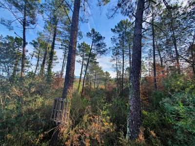 Terrain agricole - 1 300 m²